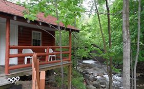 Seven Dwarfs - On The Brook Cabins Lake George